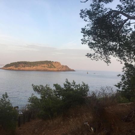 Fanny Wifi Climatise Tout A Pieds 4 Personnes La Ciotat Exteriér fotografie
